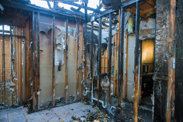 Professional Soot Cleanup technician working in Ruskin, FL