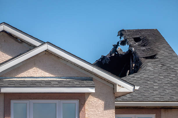 Top rated local Soot Cleanup specialists in Ruskin, FL